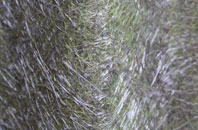 Timworth Green fibreglass roof work